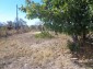 15996:49 - Cheap Bulgarian partly renovated property 15km from Elhovo