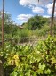 15999:20 - Twp storey house for sale in Melnitsa 17km from Elhovo Yambol